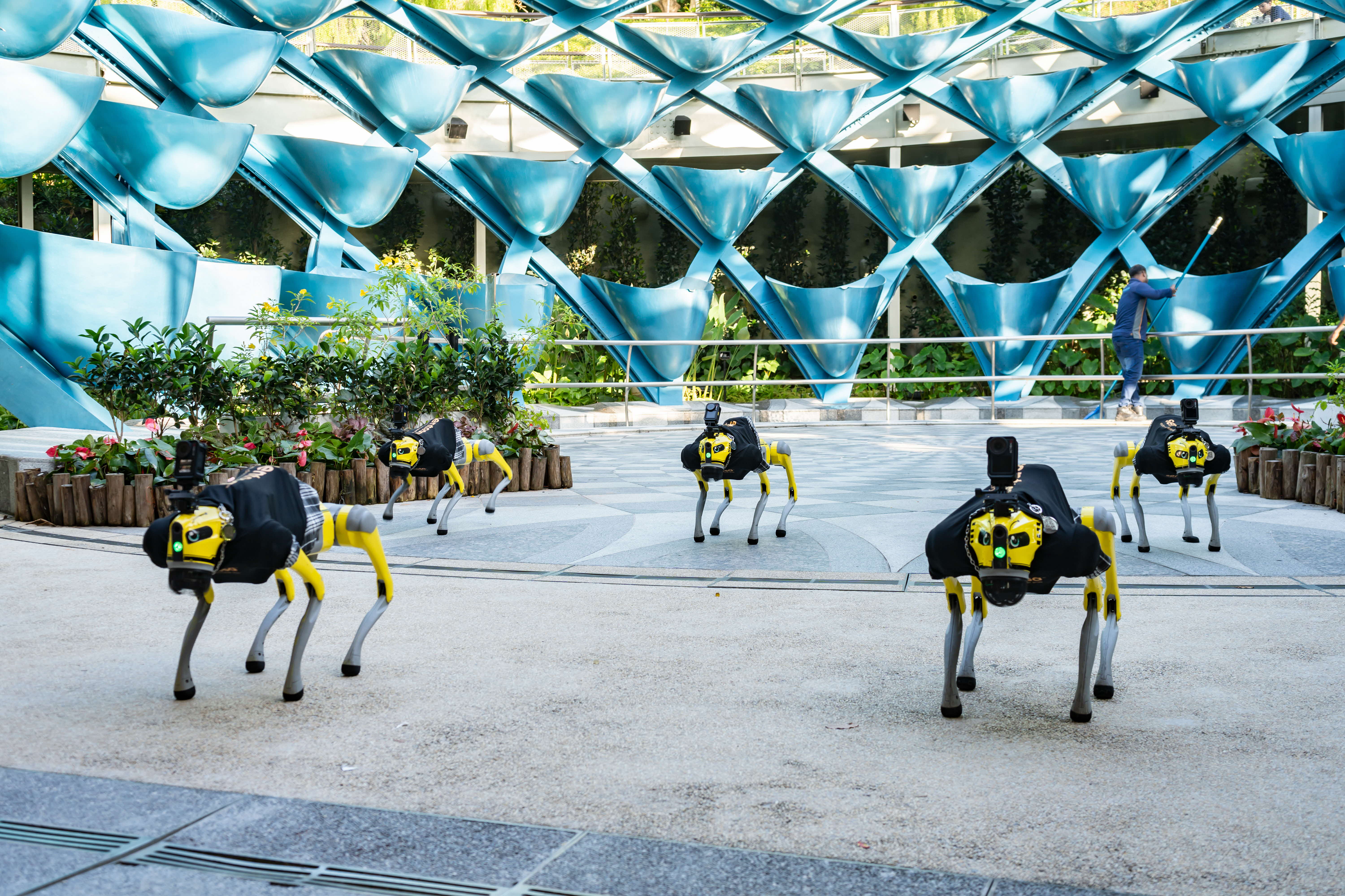 Add your alt text here